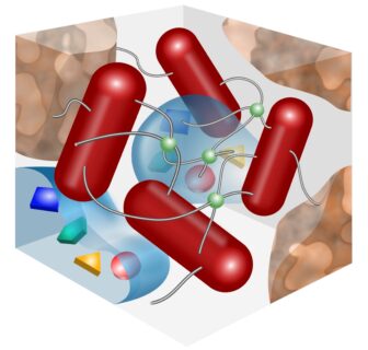 Towards entry "How bacteria actively use passive physics to make biofilms"